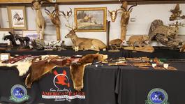 Selling Taxidermy Collections
